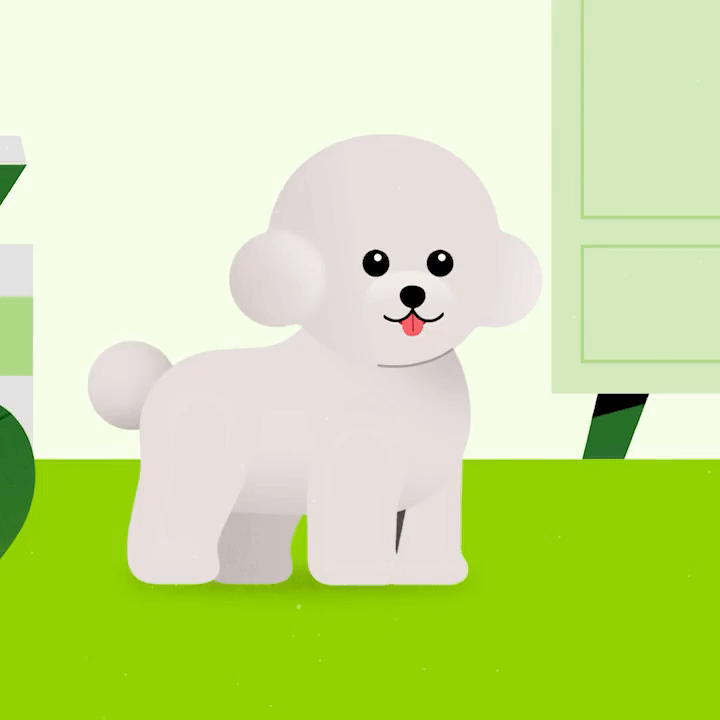 Wellpet Whimzees Cover